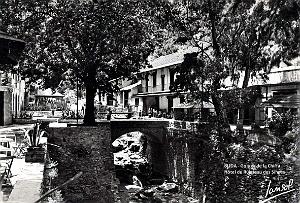 Blida - Gorges de la Chiffa - Hotel Ruisseau des Singes